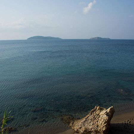 Aphrodite Skiathos Megali Ammos  Exteriör bild