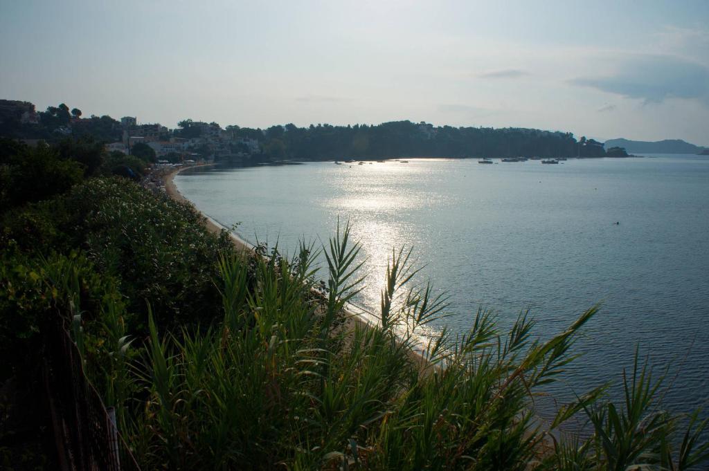 Aphrodite Skiathos Megali Ammos  Exteriör bild