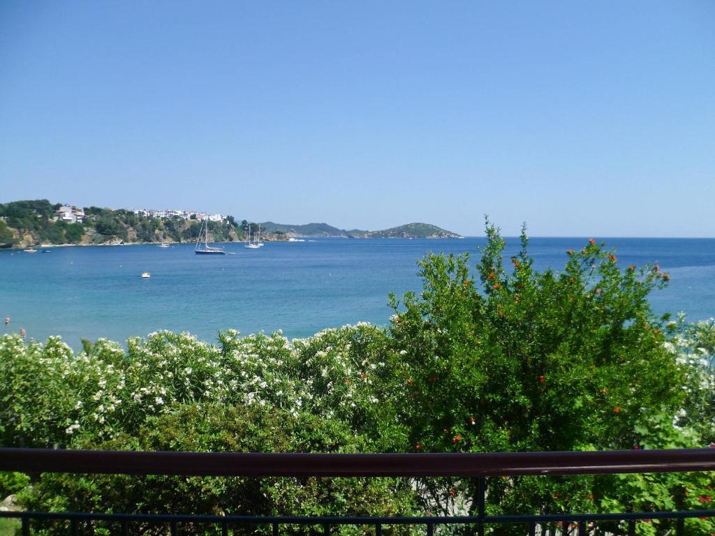 Aphrodite Skiathos Megali Ammos  Exteriör bild