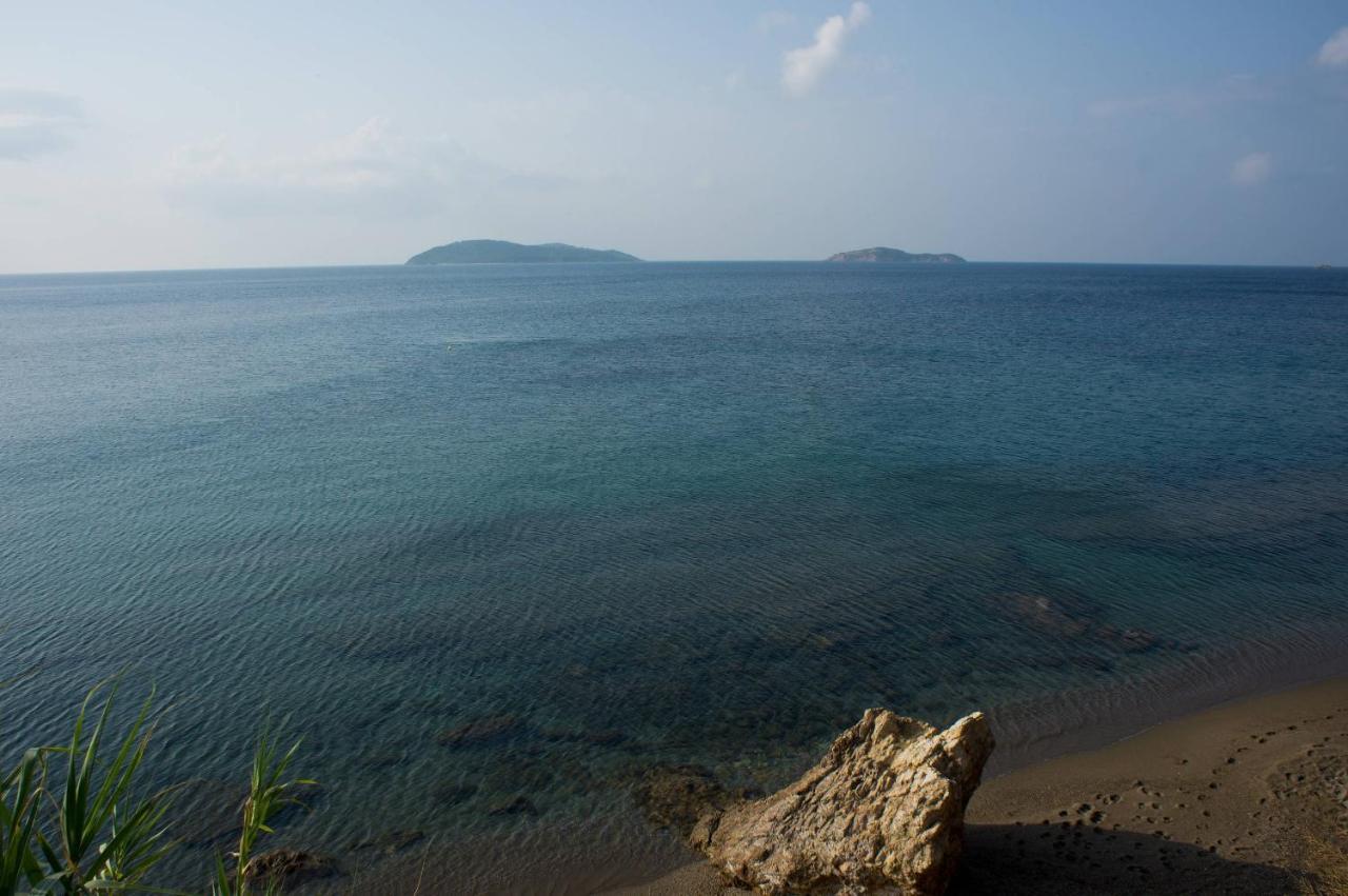 Aphrodite Skiathos Megali Ammos  Exteriör bild